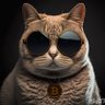 chriss profil fotoğrafı
