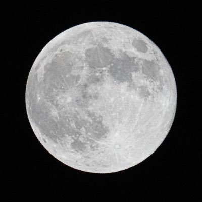 33_7an's profile picture