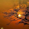 Profilbild von Nghĩa Trần Đức