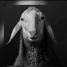 هــيصَاآ's profile picture