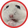 Are U Serious's profile picture