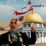 علی احمد احمدی's profile picture
