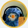 iksa's profile picture