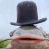 Profilbild von your future husband
