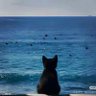 boooot03 profil fotoğrafı