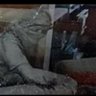 Фото профиля خالد المسهلي