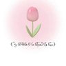 Profilbild von Wafaa Hama