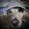 Manthatknows's profile picture