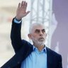 عرفان Erfan's profile picture