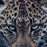 Engwe's profile picture