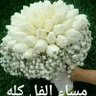 Фото профиля عبدالرحمن