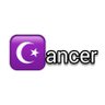 ☪️ancer 的头像