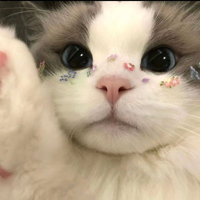 jome_jaaaaaaas's profile picture