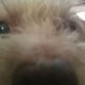 Profilbild von TheReal-T-Mil