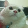 บิงโกlove Oo La La La's profile picture