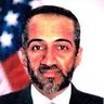Tim Osman's profile picture