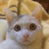 TechNomad's profile picture