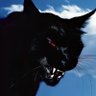 arno?'s profile picture