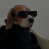 bogdanovic's profile picture