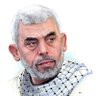 Hasan Sekmen's profile picture