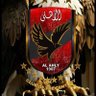 Sheref mohsen's profile picture