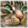 Sidarta Xangô profil fotoğrafı