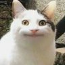 Profilbild von Jared