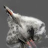 fraptor's profile picture