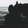 عُمَر's profile picture