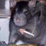 Фото профиля Rato de boné