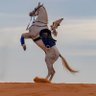 mohamed ..'s profile picture