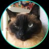 Profilbild von koitsu