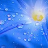 Фото профиля قطوف أدبية