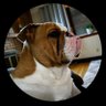 Junior's profile picture