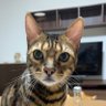 山田 profil fotoğrafı