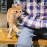 strek's profile picture
