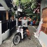 Фото профиля fauzya saputra