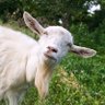 Turbostick's profile picture