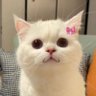 もっもっ's profile picture
