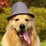 Cryptosean 的头像