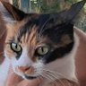 Profilbild von Melek