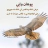 ابوعمر 的头像