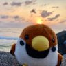 すずめ隊長 的头像