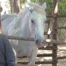Cowboy_man's profile picture