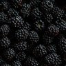 Antioxidant 9 profil fotoğrafı