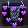すーちゃみ💜🎭 profil fotoğrafı