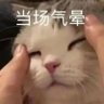 Yan.'s profile picture