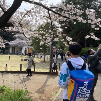 りょだ's profile picture