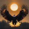 أبو رعد profil fotoğrafı