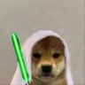 achilles.wif's profile picture